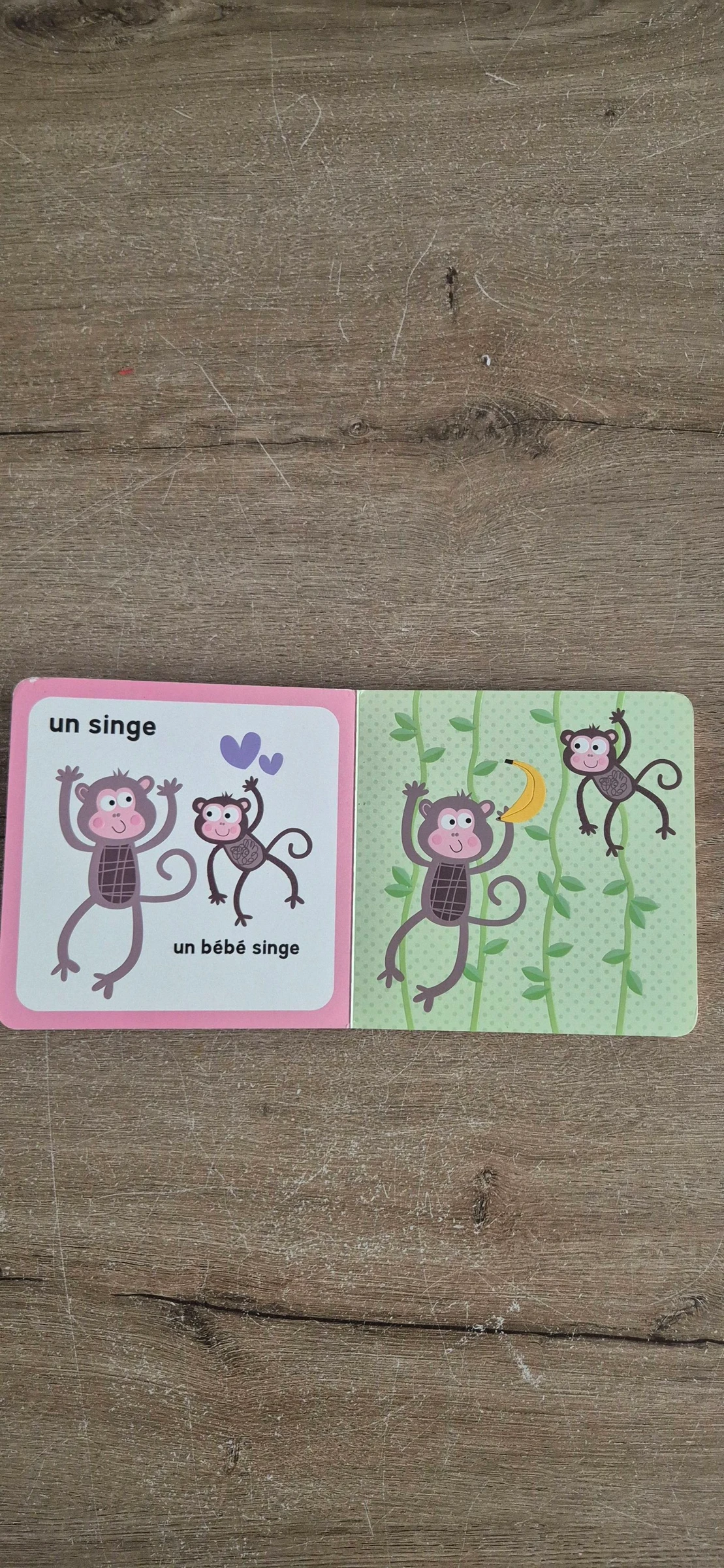Libro Madres y bebés animales – photo 2